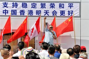 大多地区华人华侨举行【支持香港和平稳定】集会