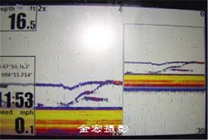 特鲁多刚刚宣布 加拿大将获得8800万剂疫苗！