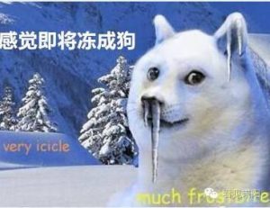 中国各地气温骤降笑话百出