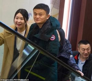 一“鹅”难求——加拿大鹅在中国