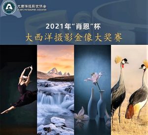 2021大西洋摄影协会【肖恩杯】金像大奖赛