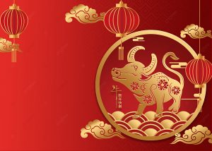 中国驻加大使馆【华乐苏韵.2021加拿大新春音乐会】大年初一云端呈现