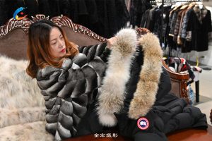 大鹅羽绒服爱好者的好消息