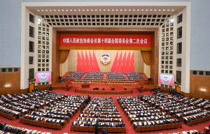 中国政协侨界委员盼惠侨新举措解侨忧护侨益