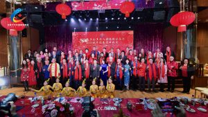多伦多华人团体联合总会2025蛇年新春团拜晚会