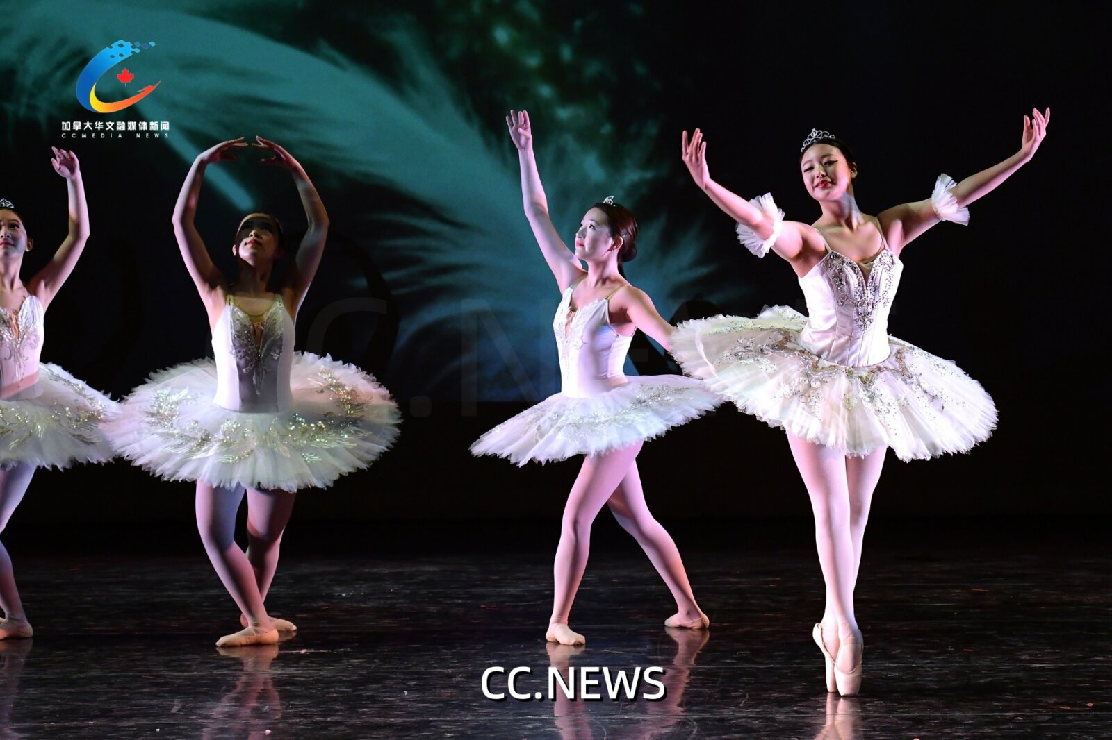 此图片的 alt 属性为空；文件名为 850_0669-1.jpg