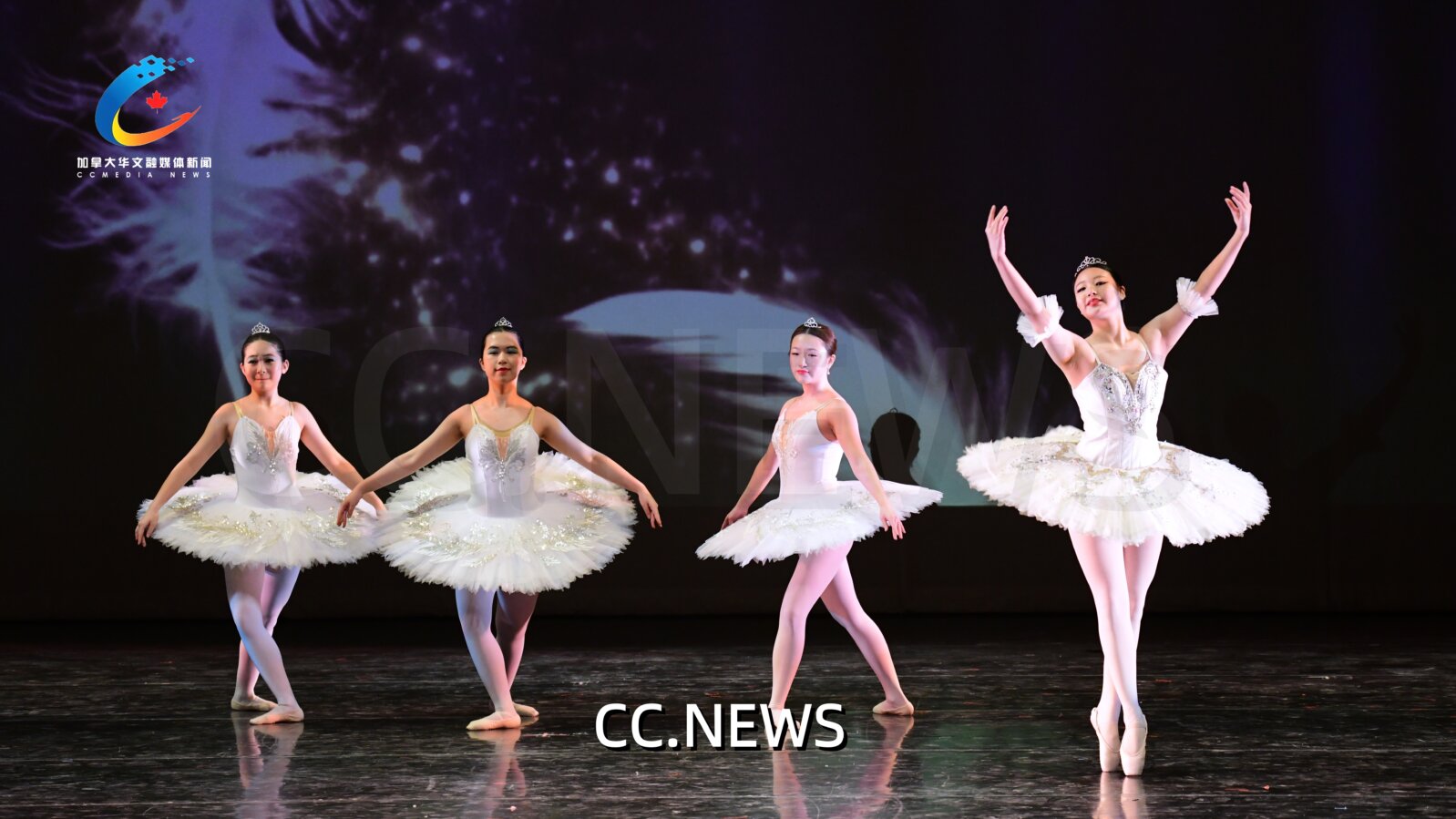 此图片的 alt 属性为空；文件名为 850_0684-%E5%89%AF%E6%9C%AC.jpg