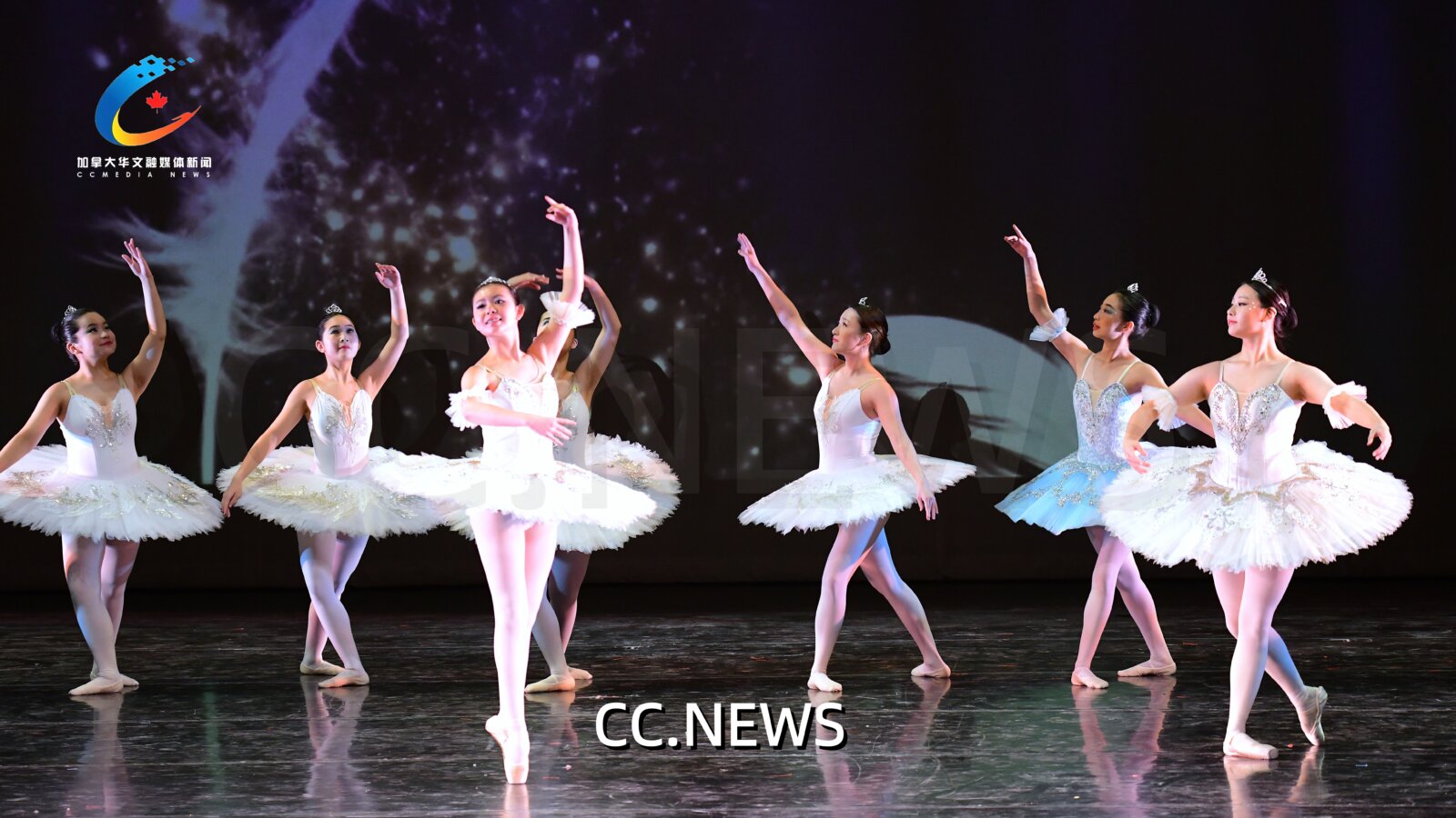 此图片的 alt 属性为空；文件名为 850_0687-%E5%89%AF%E6%9C%AC.jpg