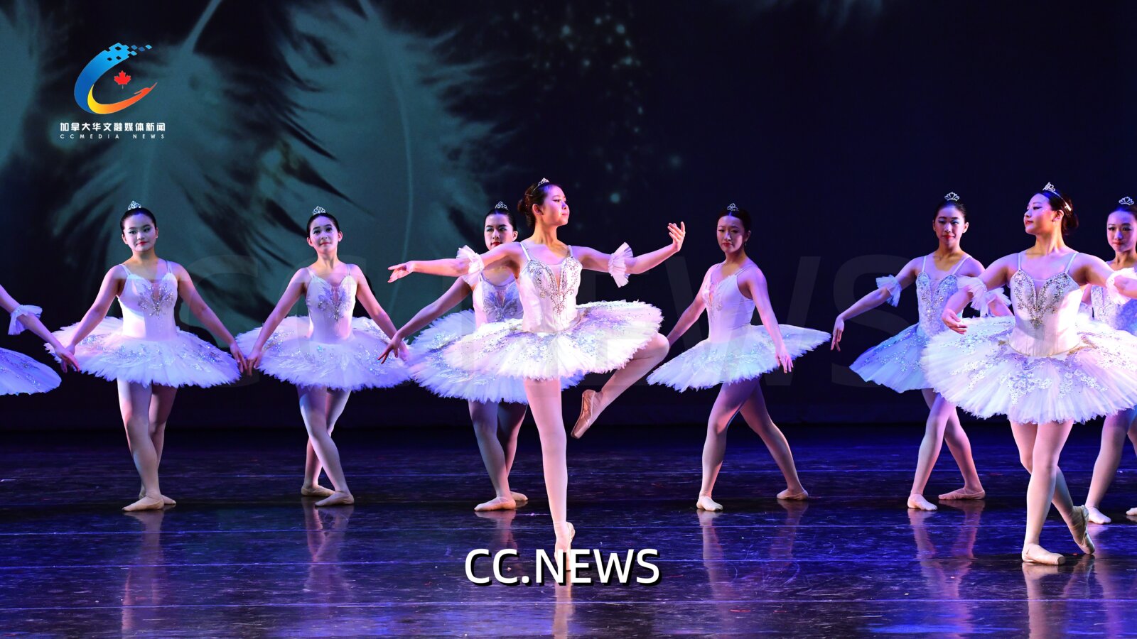 此图片的 alt 属性为空；文件名为 850_0722-%E5%89%AF%E6%9C%AC.jpg