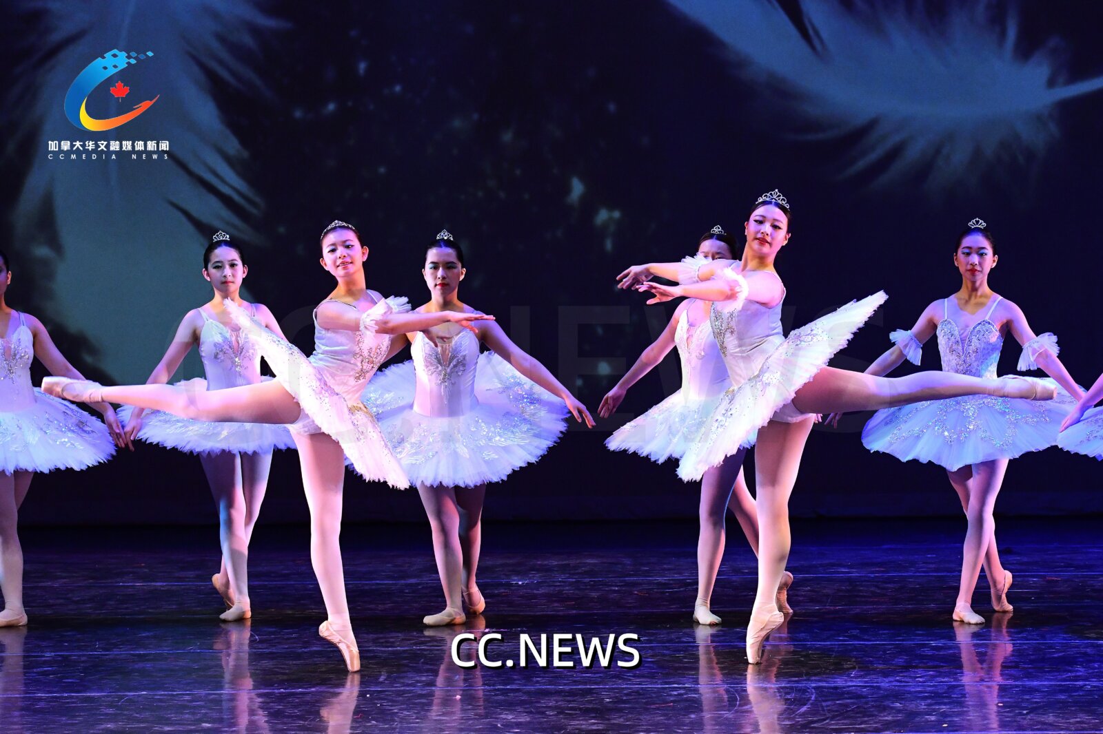 此图片的 alt 属性为空；文件名为 850_0735-%E5%89%AF%E6%9C%AC.jpg