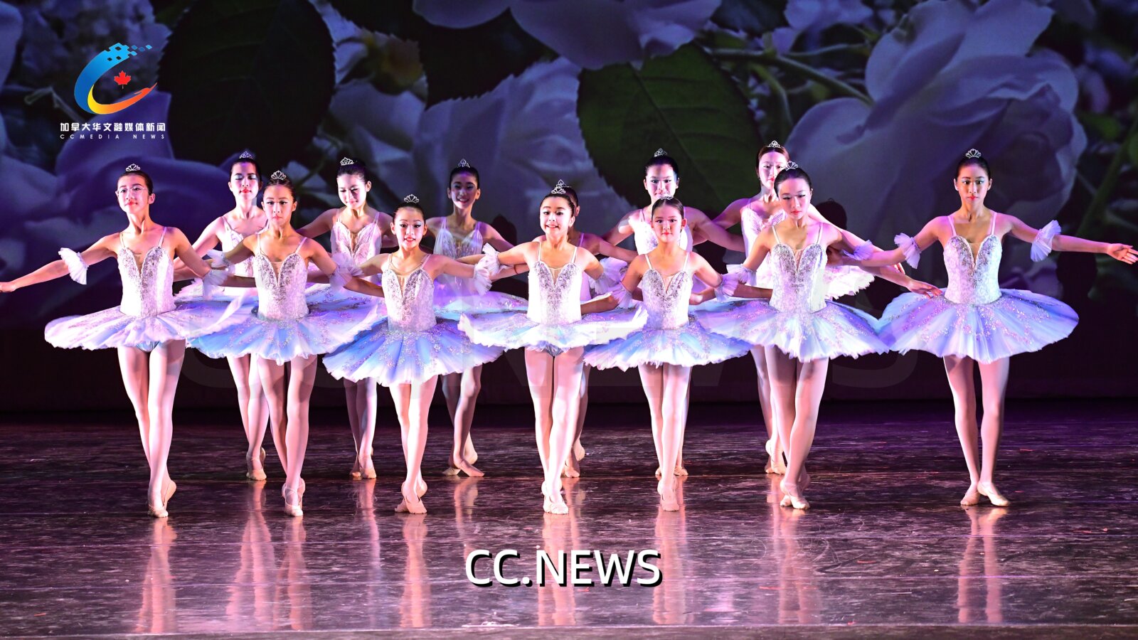 此图片的 alt 属性为空；文件名为 850_0779-%E5%89%AF%E6%9C%AC.jpg