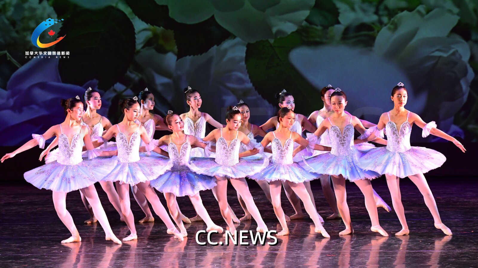 此图片的 alt 属性为空；文件名为 850_0801-%E5%89%AF%E6%9C%AC.jpg