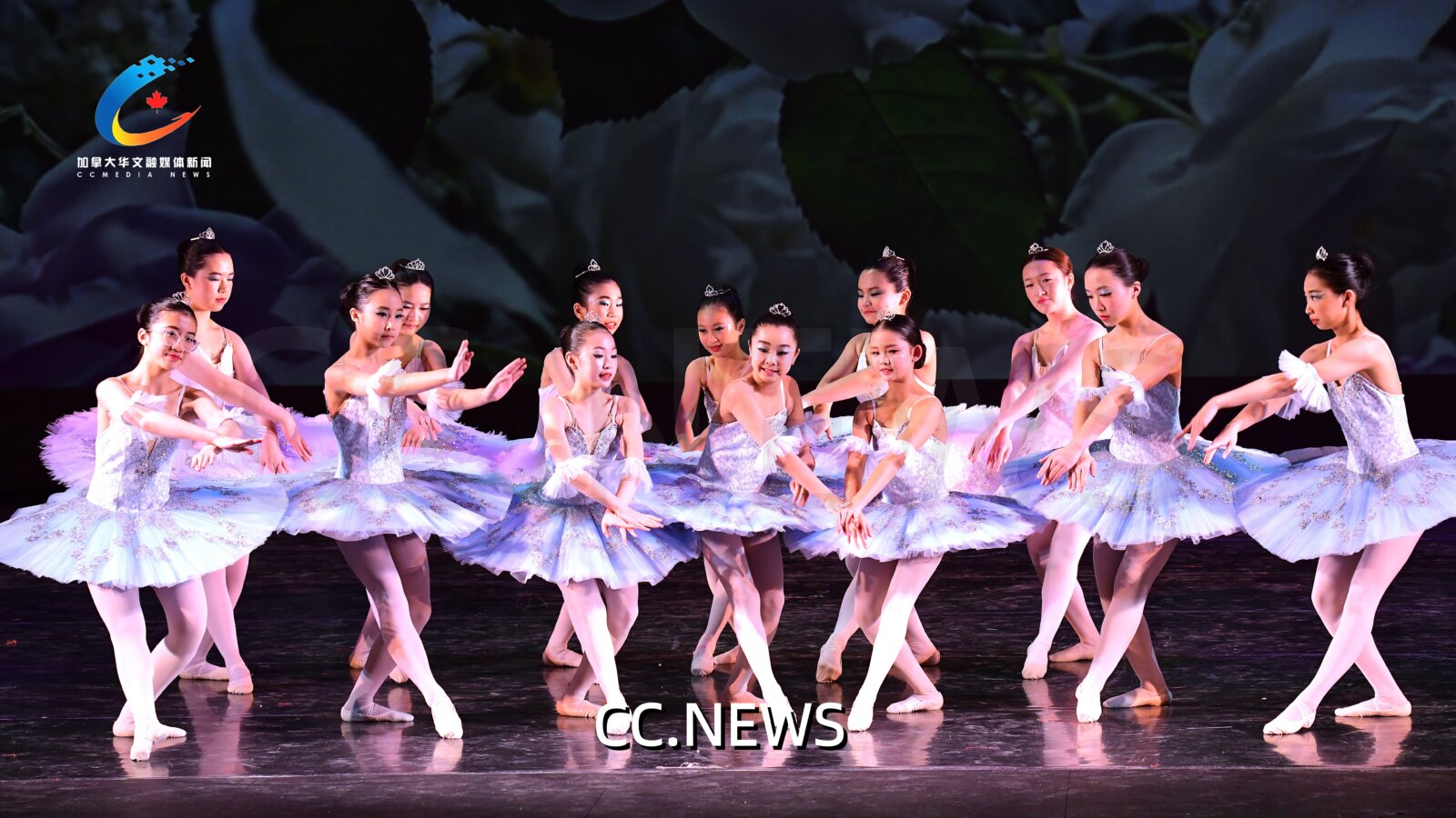 此图片的 alt 属性为空；文件名为 850_0808-%E5%89%AF%E6%9C%AC.jpg