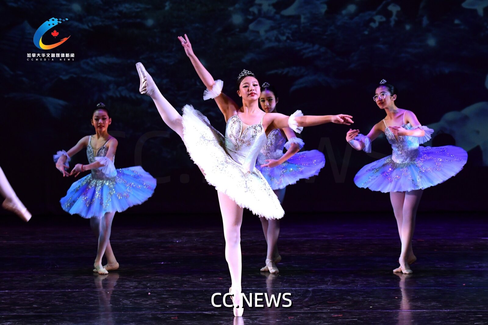 此图片的 alt 属性为空；文件名为 850_0837.jpg