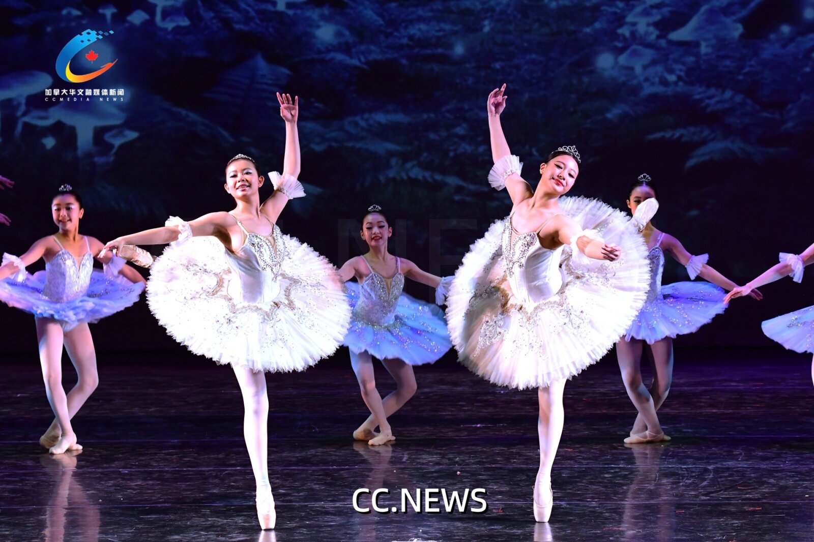 此图片的 alt 属性为空；文件名为 850_0839-1.jpg