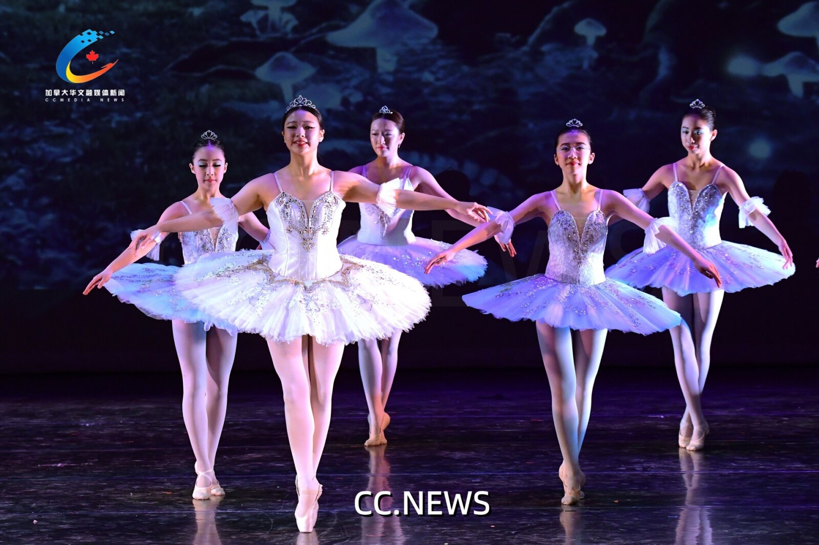 此图片的 alt 属性为空；文件名为 850_0849.jpg