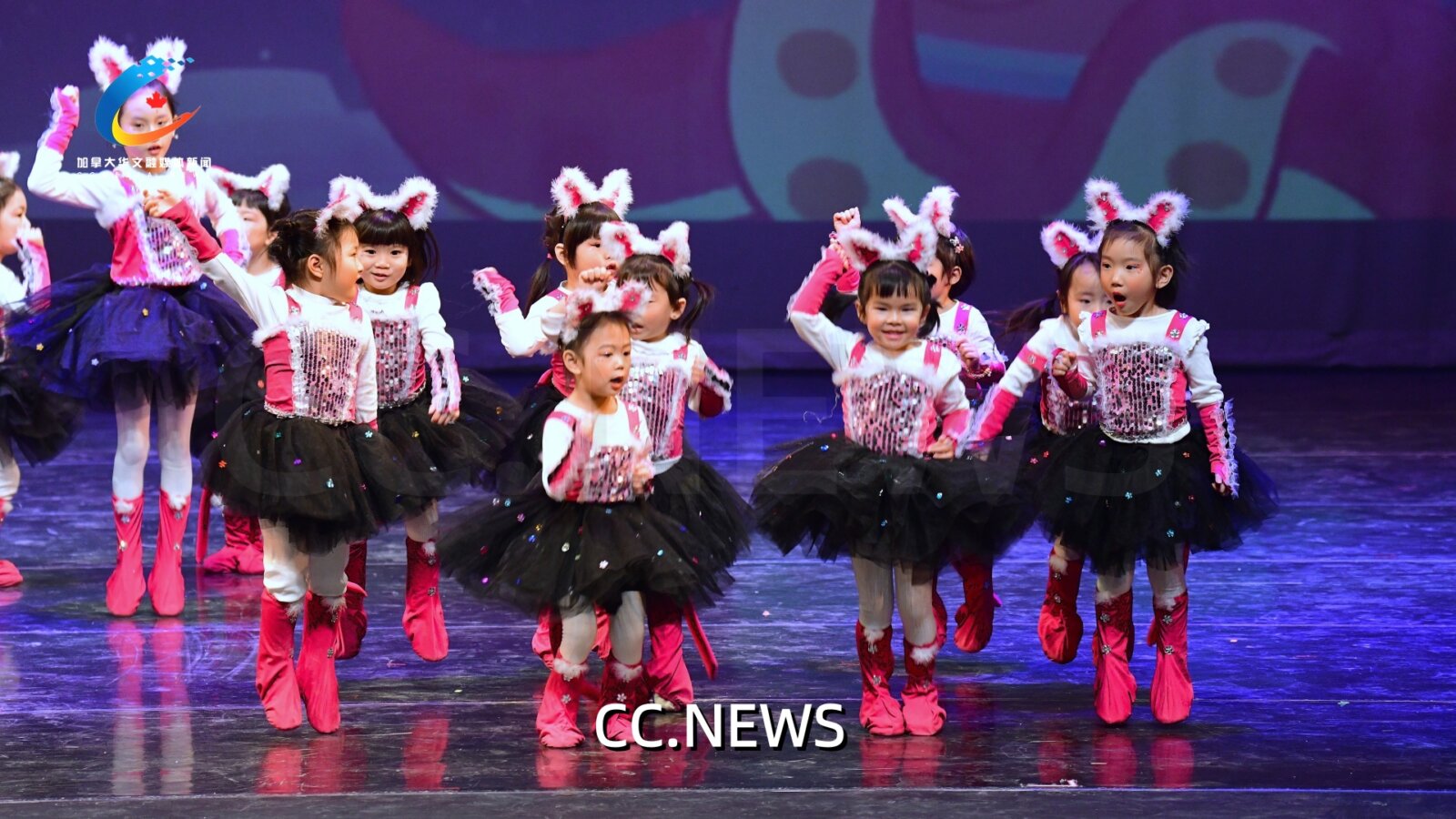 此图片的 alt 属性为空；文件名为 850_9963.jpg