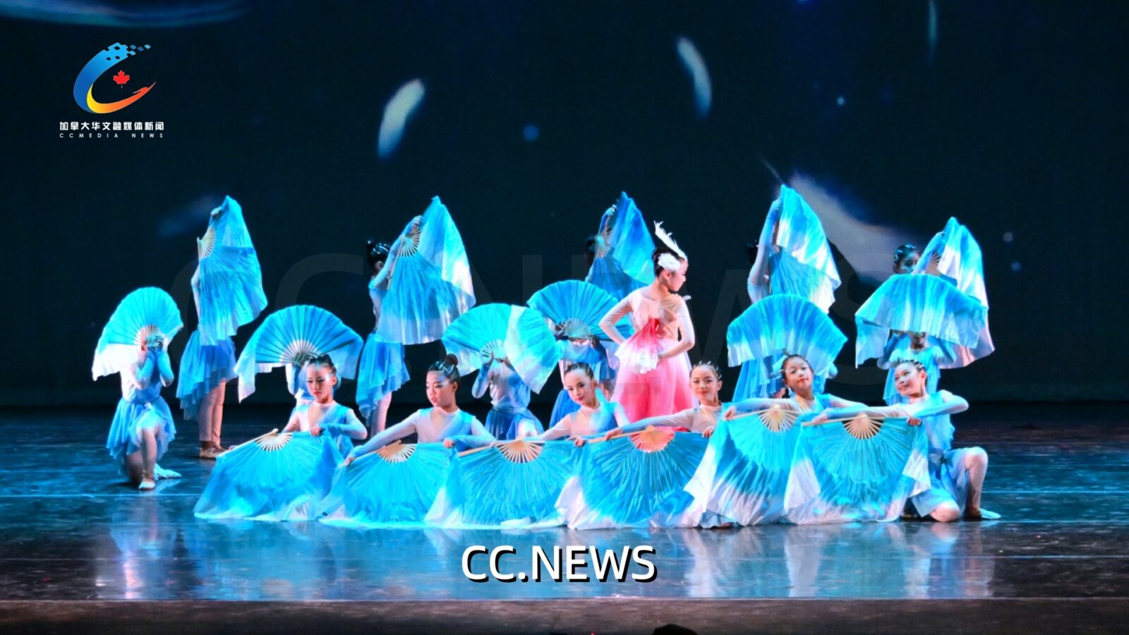 此图片的 alt 属性为空；文件名为 DSC_8017.jpg