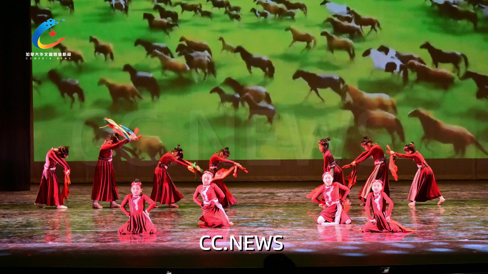 此图片的 alt 属性为空；文件名为 DSC_8320-%E5%89%AF%E6%9C%AC.jpg