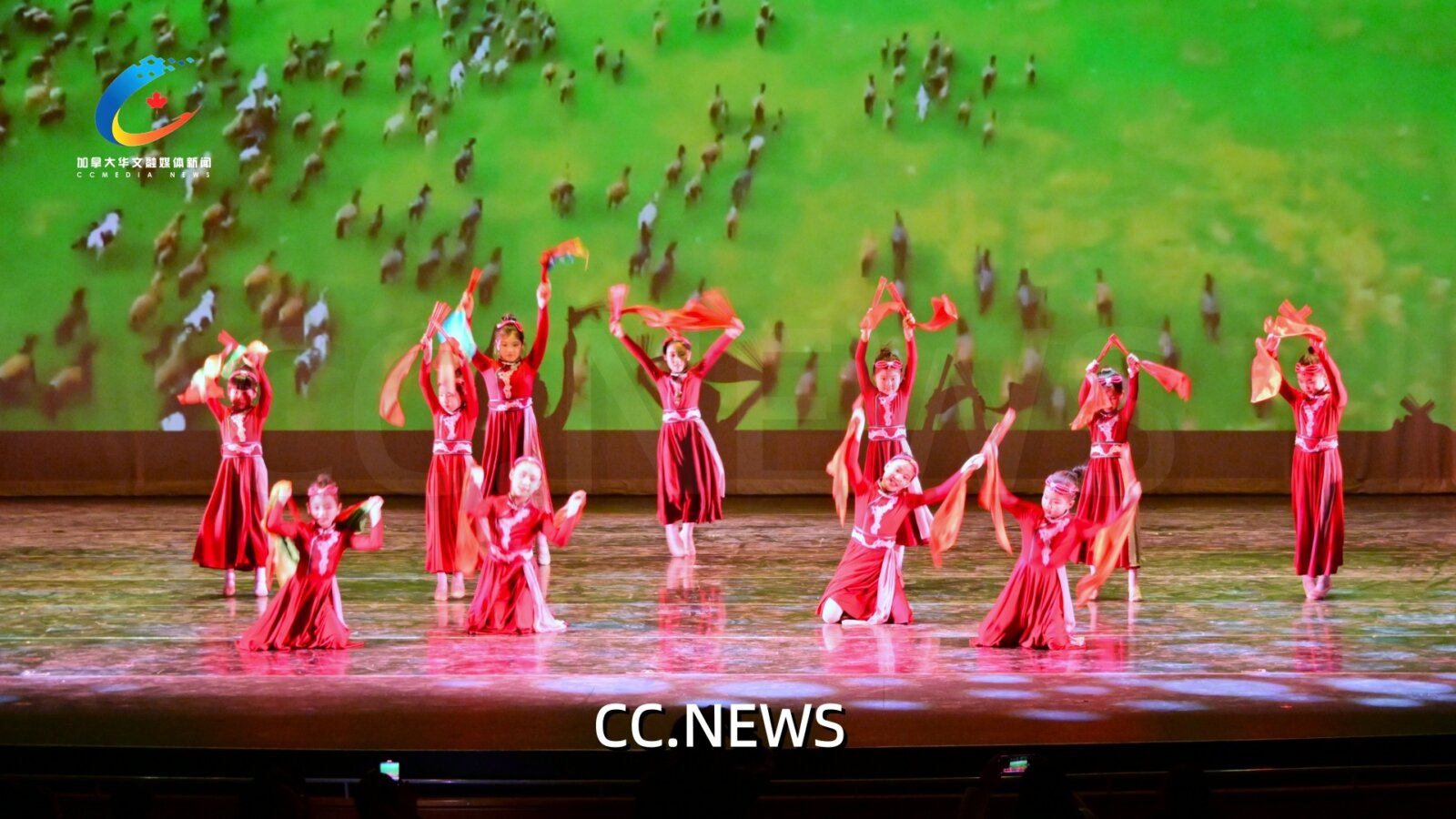 此图片的 alt 属性为空；文件名为 DSC_8331.jpg