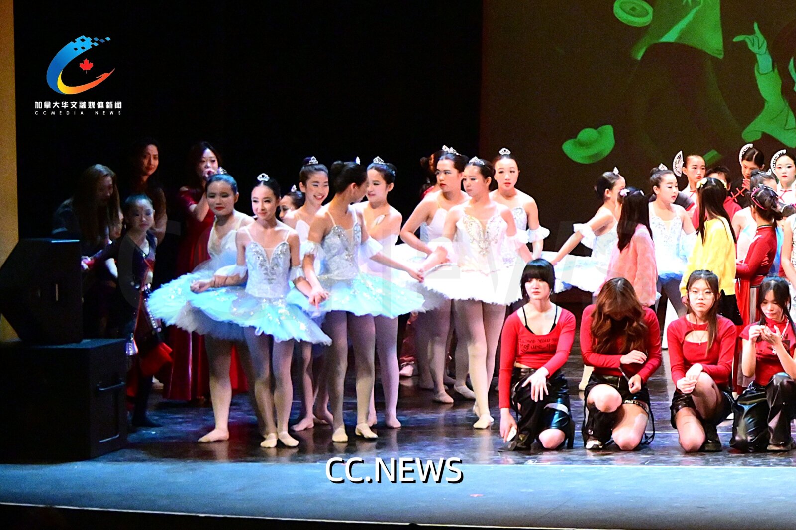 此图片的 alt 属性为空；文件名为 DSC_8772-1.jpg